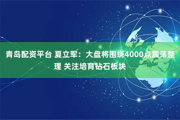 青岛配资平台 夏立军：大盘将围绕4000点震荡整理 关注培育钻石板块